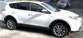 Toyota RAV 4 Hybrid Edition-S+ Weiß - thumbnail 4