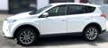 Toyota RAV 4 Hybrid Edition-S+ Weiß - thumbnail 3