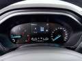 Ford Focus Turnier 1.5 EcoBlue Titanium Aut LED AHK Rot - thumbnail 19