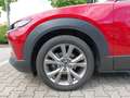 Mazda CX-30 Diesel Automatik Selection Design-P Activesense-P+ Rot - thumbnail 12