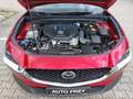 Mazda CX-30 Diesel Automatik Selection Design-P Activesense-P+ Rot - thumbnail 17