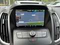 Ford Grand C-Max 1.0 125pk Titanium Navi, Clima, Trekhaak Bruin - thumbnail 31