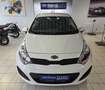 Kia Rio 1,2 CVVT Cool Blockbuster Weiß - thumbnail 10