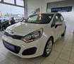 Kia Rio 1,2 CVVT Cool Blockbuster Weiß - thumbnail 9