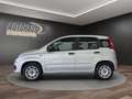 Fiat Panda Easy Argent - thumbnail 4