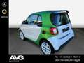 smart forTwo smart fortwo ED Cool & Audio/Sitzhzg/4,6kW-Lader Blanc - thumbnail 4