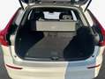 Volvo XC60 XC60 B4 D Core Weiß - thumbnail 8