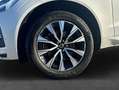 Volvo XC60 XC60 B4 D Core Weiß - thumbnail 7