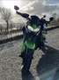 Kawasaki Z 900 Grün - thumbnail 8