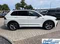 Volkswagen Tiguan 1.5 TSI ACT Highline Business R LINE - PANO CAMERA Blanc - thumbnail 4