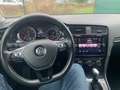 Volkswagen Golf 5p 1.5 tgi Executive 130cv dsg Gris - thumbnail 7