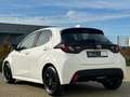 Toyota Yaris Hybrid Business Edition Navi Cam SHZ ACC Bianco - thumbnail 7