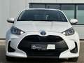 Toyota Yaris Hybrid Business Edition Navi Cam SHZ ACC Bianco - thumbnail 2