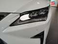Lexus RX 450h 450h 4WD F SPORT Executive Euro6d-T Blanc - thumbnail 13