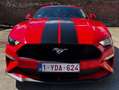 Ford Mustang Mustang Fastback 2.3 Eco Boost Aut. Rood - thumbnail 1