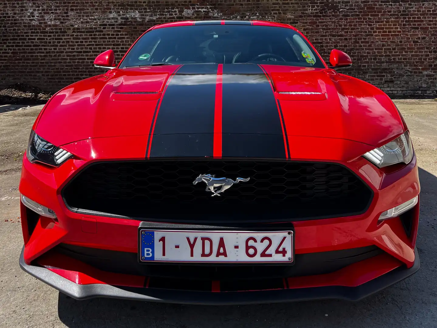 Ford Mustang Mustang Fastback 2.3 Eco Boost Aut. Rouge - 1