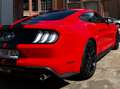 Ford Mustang Mustang Fastback 2.3 Eco Boost Aut. Rood - thumbnail 4
