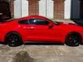 Ford Mustang Mustang Fastback 2.3 Eco Boost Aut. Rood - thumbnail 3