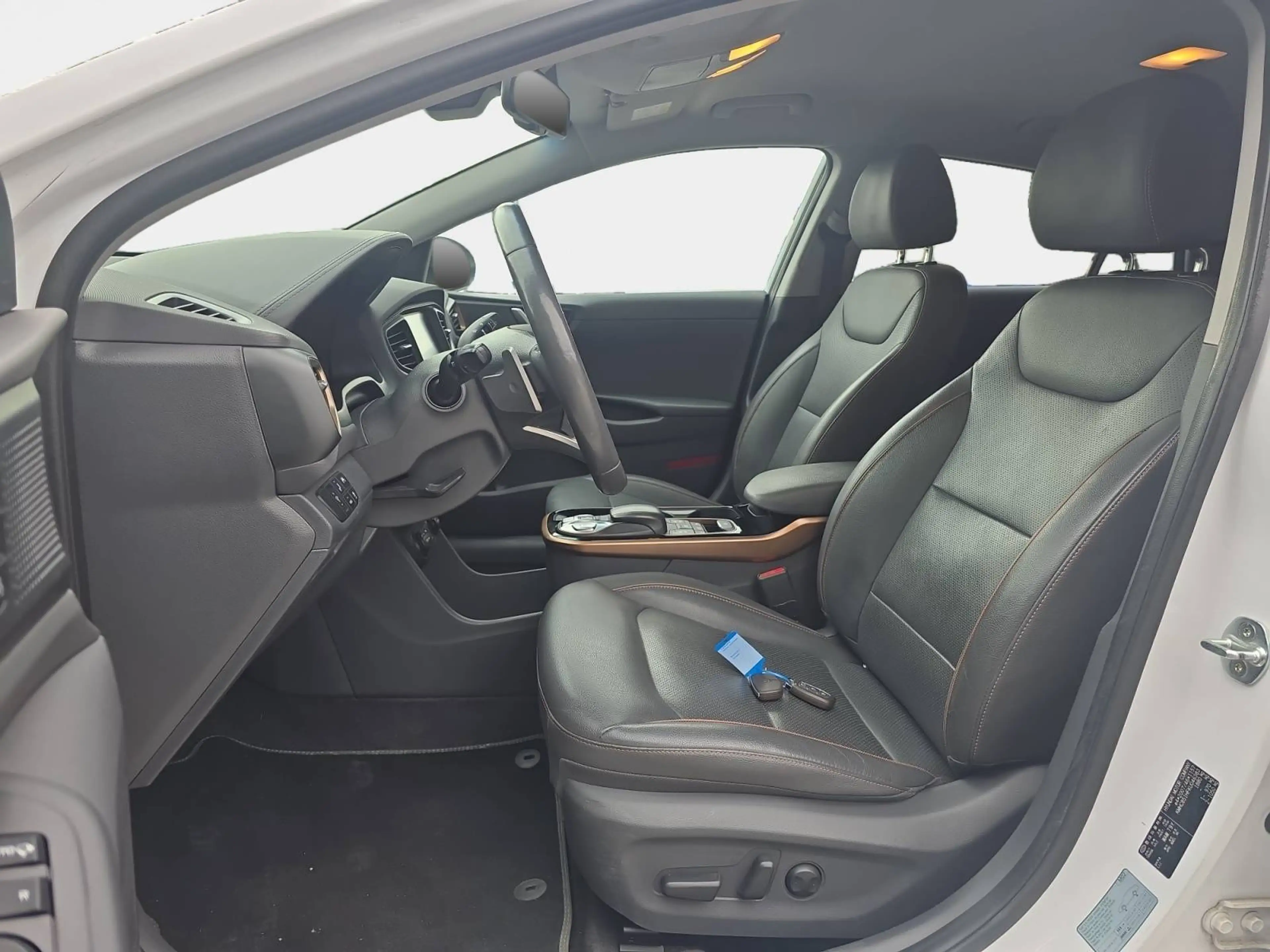 Hyundai IONIQ Trend Elektro — photo 10