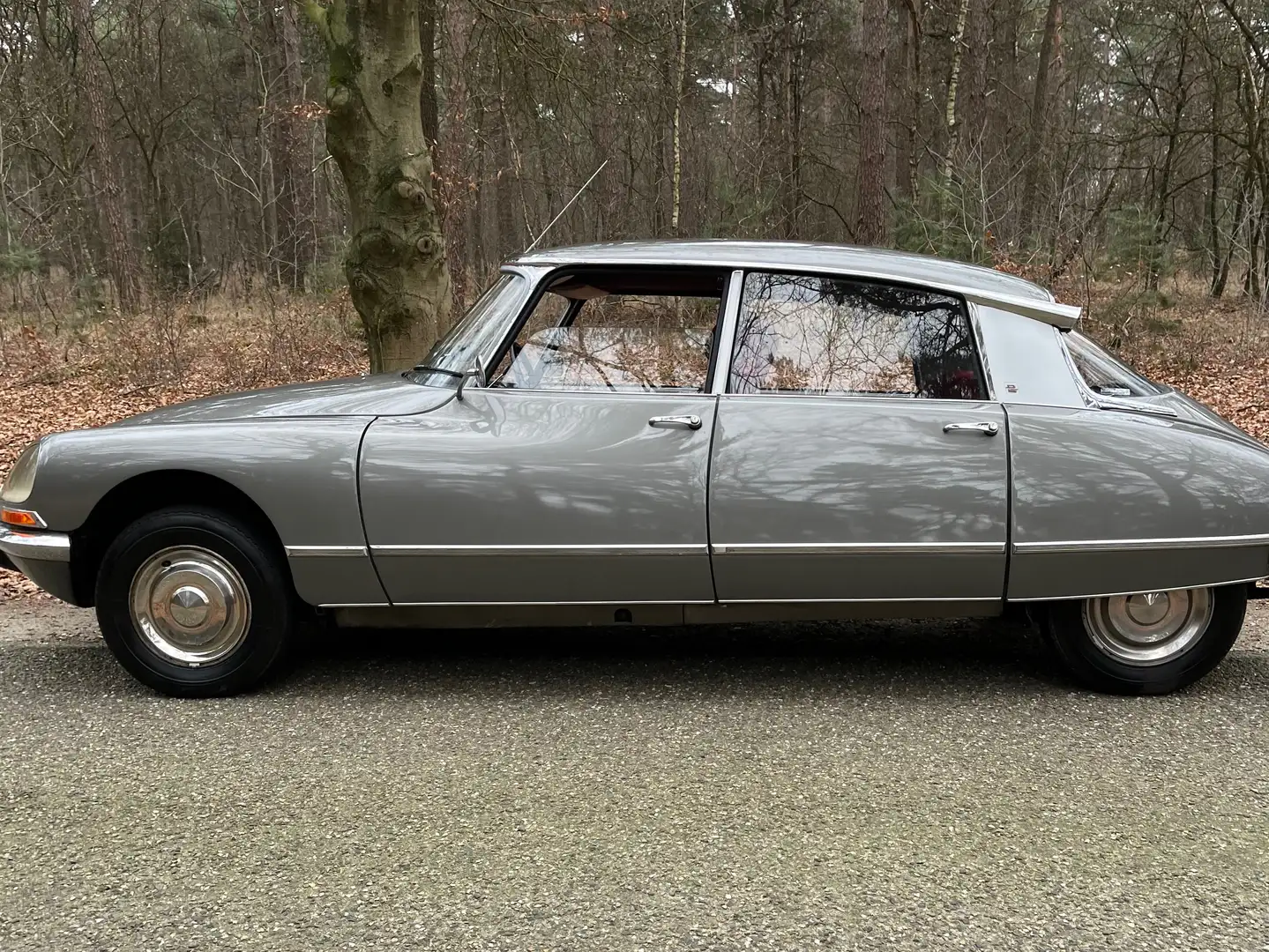 Citroen DS DS 20 Pallas halfautomaat Grijs - 1