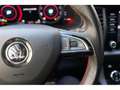 Skoda Kodiaq 2.0TDI RS 4x4 DSG 176kW Gris - thumbnail 44