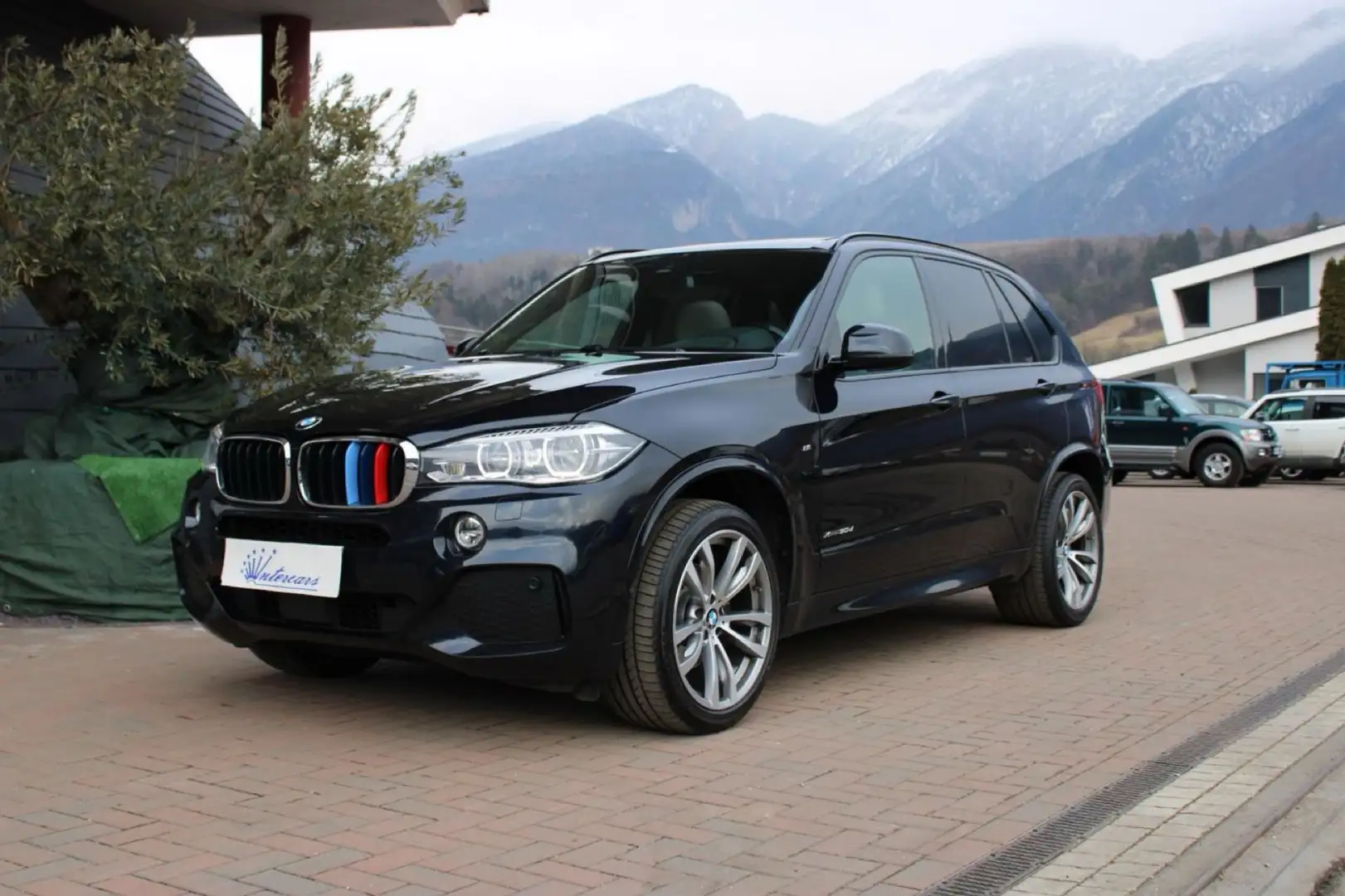BMW X5 xdrive30d Luxury 249cv auto Blu/Azzurro - 1