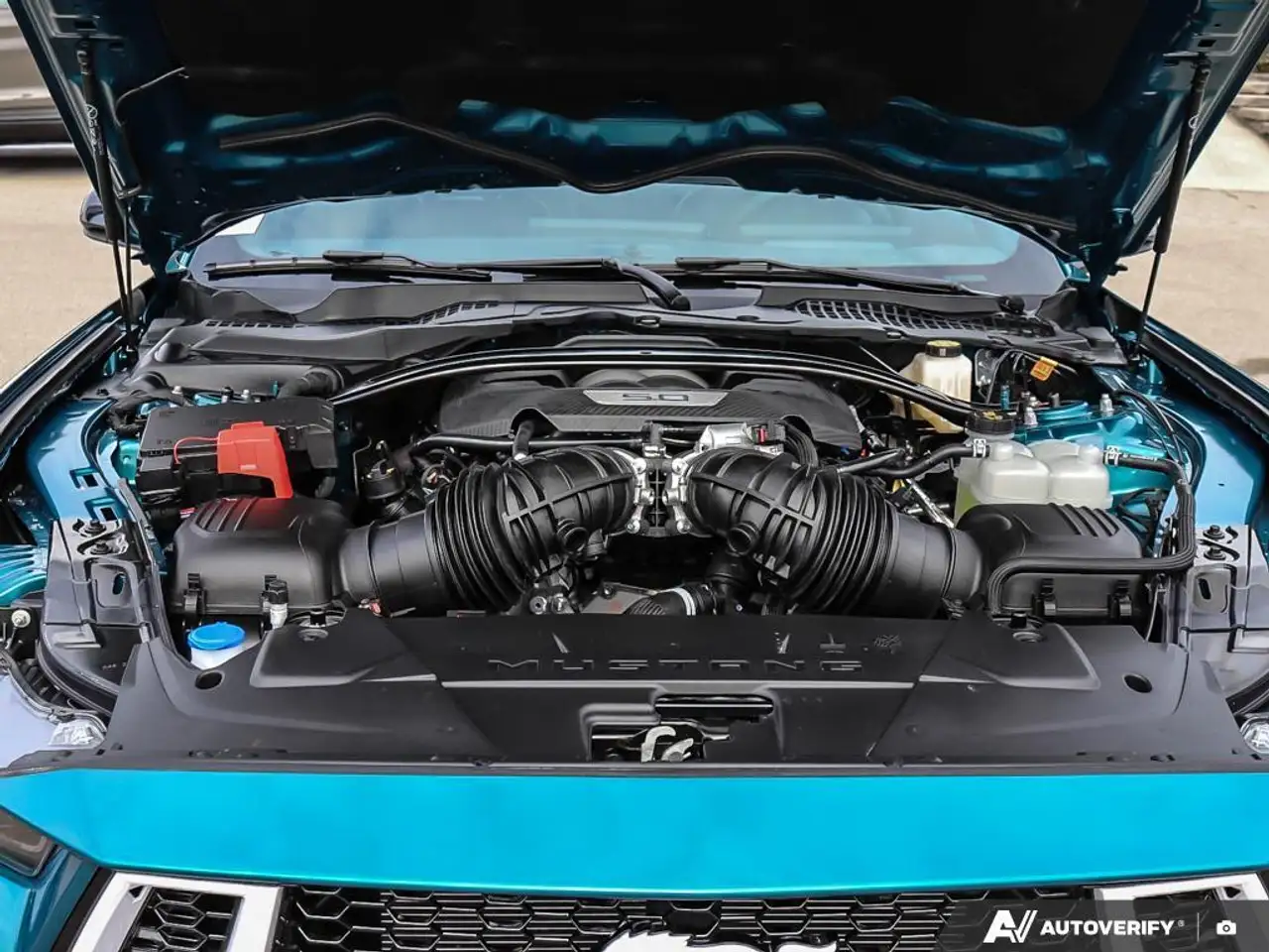 Ford Mustang photo Ford Mustang