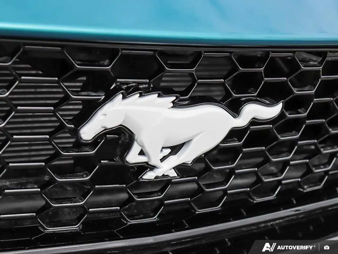 Ford Mustang photo Ford Mustang