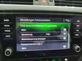 Skoda Octavia Octavia 1,6 TDI Style Limited *3 Jahre Garantie Silver - thumbnail 19