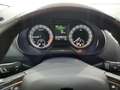 Skoda Octavia Octavia 1,6 TDI Style Limited *3 Jahre Garantie Silver - thumbnail 11