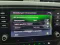 Skoda Octavia Octavia 1,6 TDI Style Limited *3 Jahre Garantie Silver - thumbnail 18