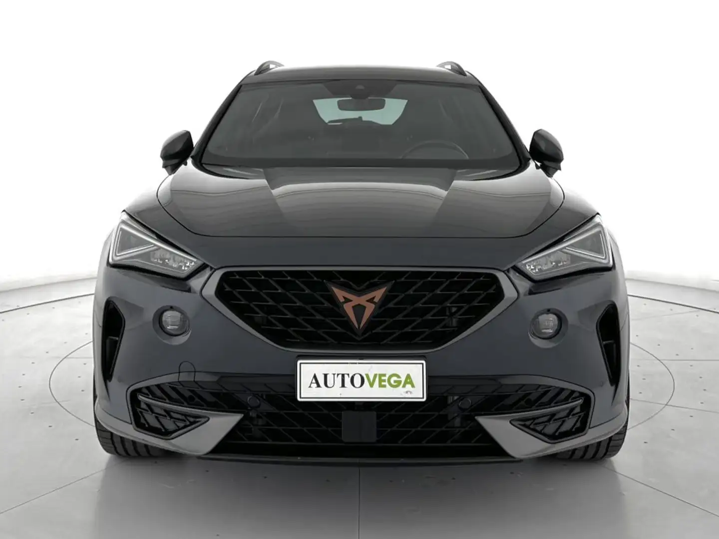 CUPRA Formentor 2.0 tdi 4drive 150cv dsg Grigio - 2