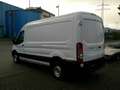 Ford Transit Kasten 350 L3H2 2.0EcoBlue Bianco - thumbnail 7