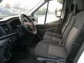Ford Transit Kasten 350 L3H2 2.0EcoBlue Bianco - thumbnail 10