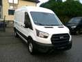 Ford Transit Kasten 350 L3H2 2.0EcoBlue Bianco - thumbnail 3