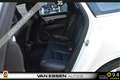 Volvo V90 2.0 T5 Inscription HUD 360 Camera Luchtvering Trek Білий - thumbnail 37