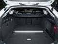 Volkswagen Passat Business TDI DSG AHK Weiß - thumbnail 3