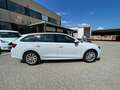 Skoda Octavia Octavia Wagon 2.0 tdi Executive 150cv dsg Weiß - thumbnail 8