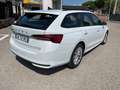 Skoda Octavia Octavia Wagon 2.0 tdi Executive 150cv dsg Weiß - thumbnail 7