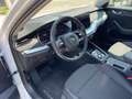 Skoda Octavia Octavia Wagon 2.0 tdi Executive 150cv dsg Weiß - thumbnail 10