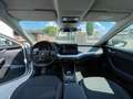 Skoda Octavia Octavia Wagon 2.0 tdi Executive 150cv dsg Weiß - thumbnail 9