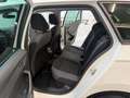 Skoda Fabia Combi Style 1,0 TSI KLIMAAUTO SITZHZG RFK ACC Weiß - thumbnail 35