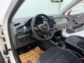 Skoda Fabia Combi Style 1,0 TSI KLIMAAUTO SITZHZG RFK ACC Weiß - thumbnail 15