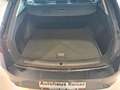 SEAT Leon Style Edition 1.5TSI 115PS Grau - thumbnail 6