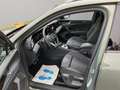 Volkswagen Tiguan 2.0 TDI SCR DSG R-Line Grün - thumbnail 11