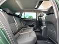 Skoda Superb Combi Scout 2.0 TDI DSG 4x4 | Panorama Grün - thumbnail 18