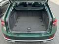 Skoda Superb Combi Scout 2.0 TDI DSG 4x4 | Panorama Зелёный - thumbnail 8