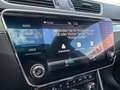 Skoda Superb Combi Scout 2.0 TDI DSG 4x4 | Panorama Grün - thumbnail 27