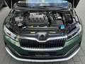 Skoda Superb Combi Scout 2.0 TDI DSG 4x4 | Panorama Зелёный - thumbnail 6