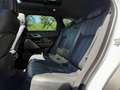 Land Rover Range Rover Velar Range Rover Velar 3.0D V6 300 CV R-Dynamic HSE Bianco - thumbnail 14